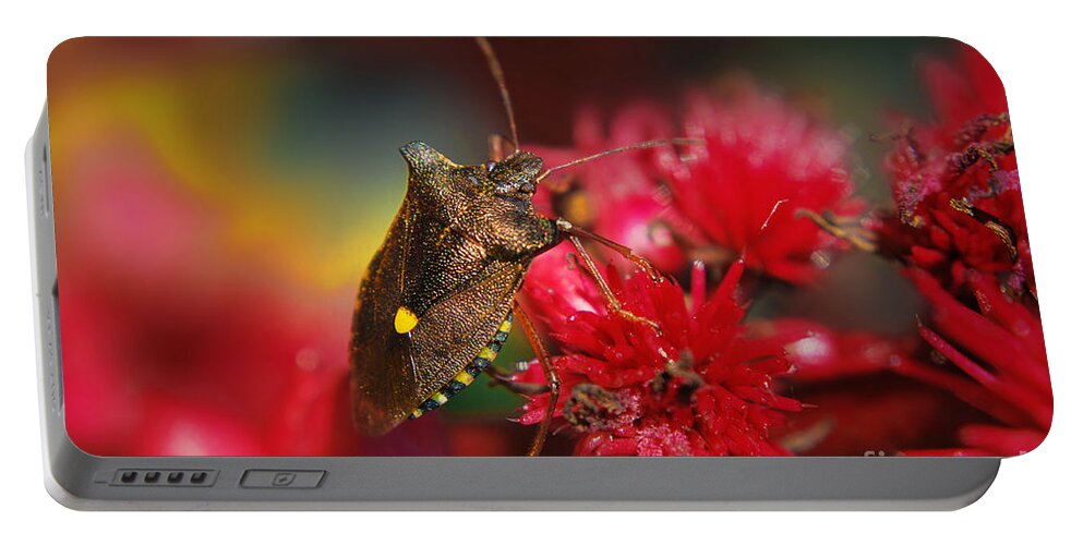 Yhun Suarez Portable Battery Charger featuring the photograph Forest Bug - Pentatoma Rufipes by Yhun Suarez
