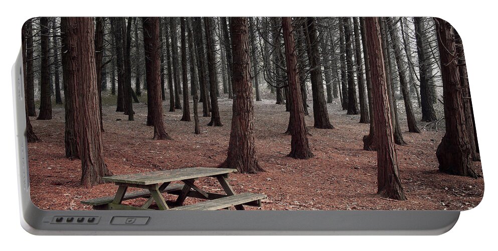 Autumn Portable Battery Charger featuring the photograph Forest Table by Carlos Caetano