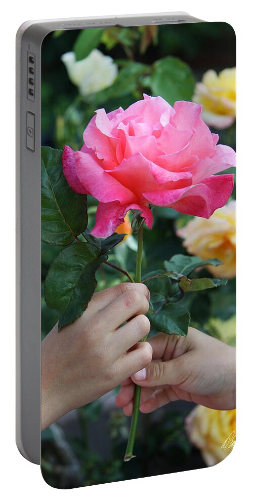Child Portable Battery Charger featuring the photograph Friendship Rose by Diana Haronis