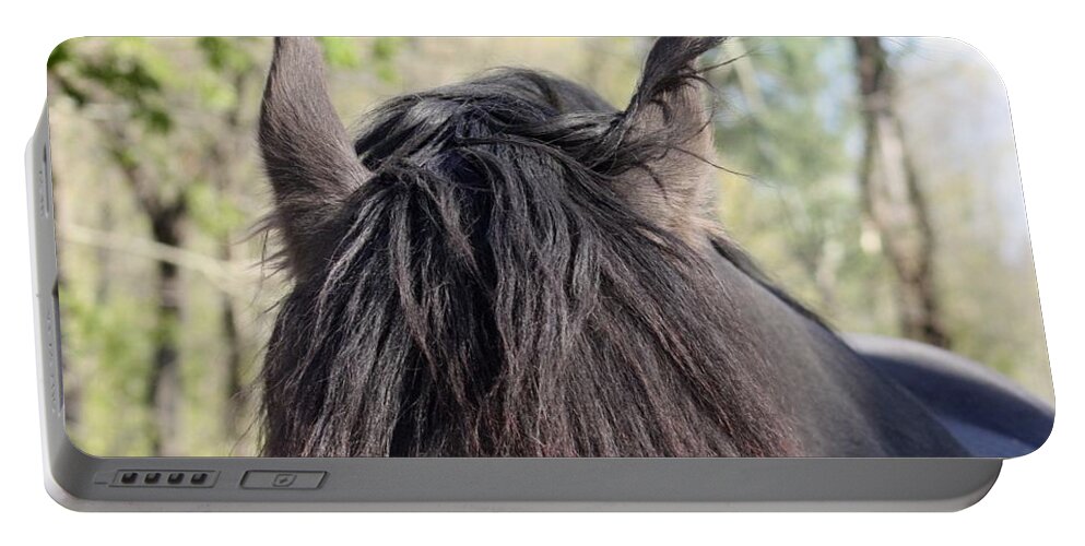 Friesian Horse Portable Battery Charger featuring the photograph Friesian Beauty by Kim Galluzzo
