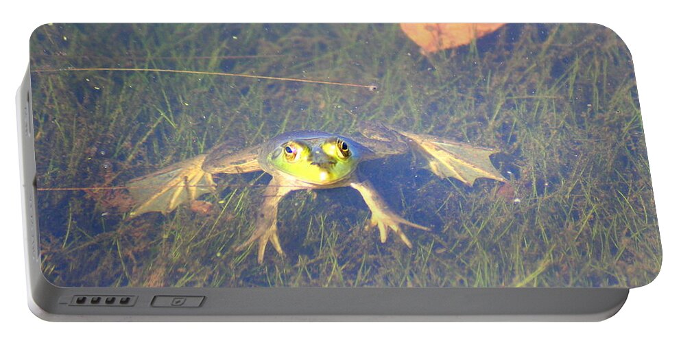 Frog Portable Battery Charger featuring the photograph Froggie Sitting in the Water by Laurel Talabere