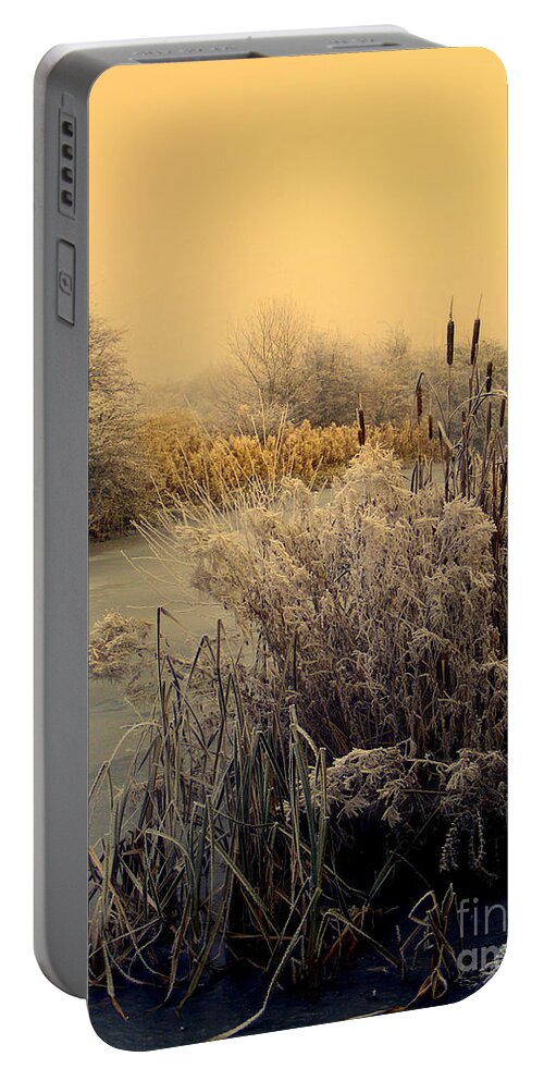 Frost Portable Battery Charger featuring the photograph Frost by Linsey Williams