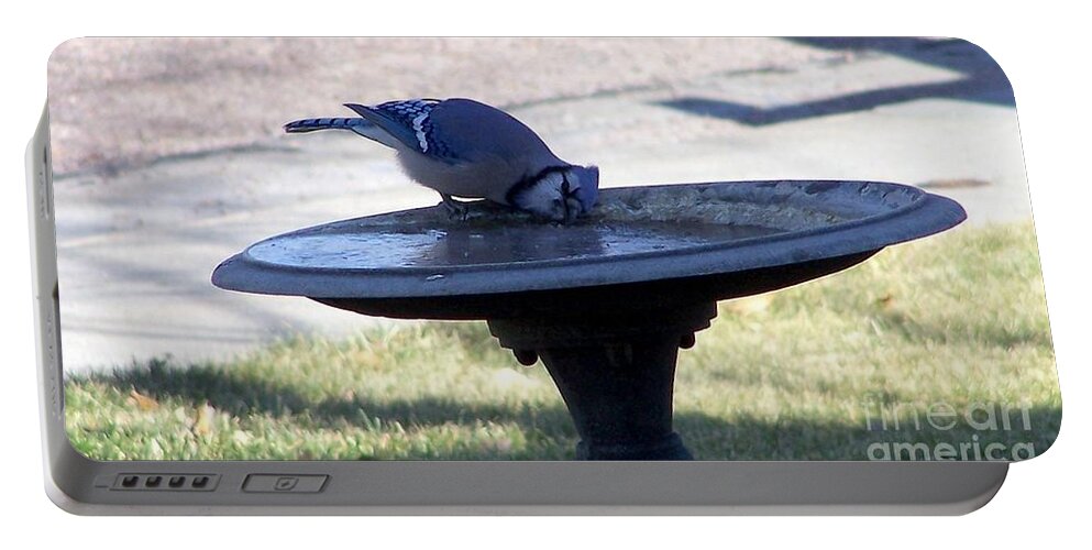 Blue Jay Portable Battery Charger featuring the photograph Frustration by Dorrene BrownButterfield