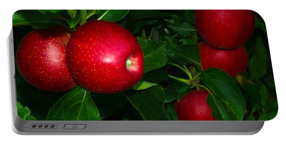 Apples Portable Battery Charger featuring the photograph Gala Apples New Jersey Orchard by Maureen E Ritter