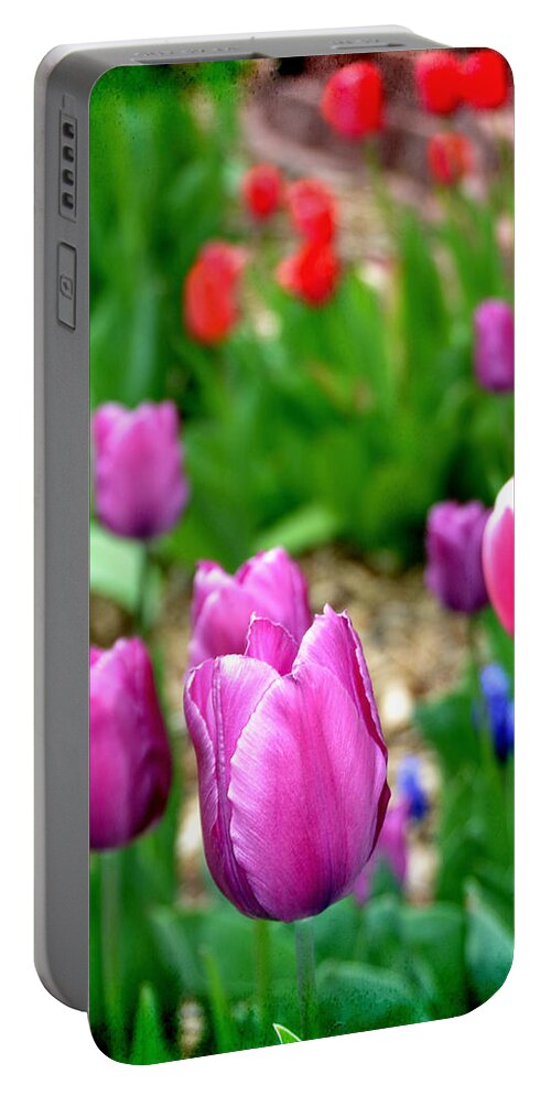 Multicolored Portable Battery Charger featuring the photograph Gardening by Angelina Tamez