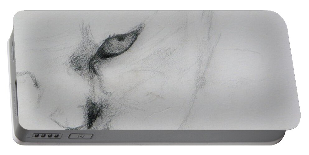 Cat Portable Battery Charger featuring the drawing Ghost Cat by Rory Siegel