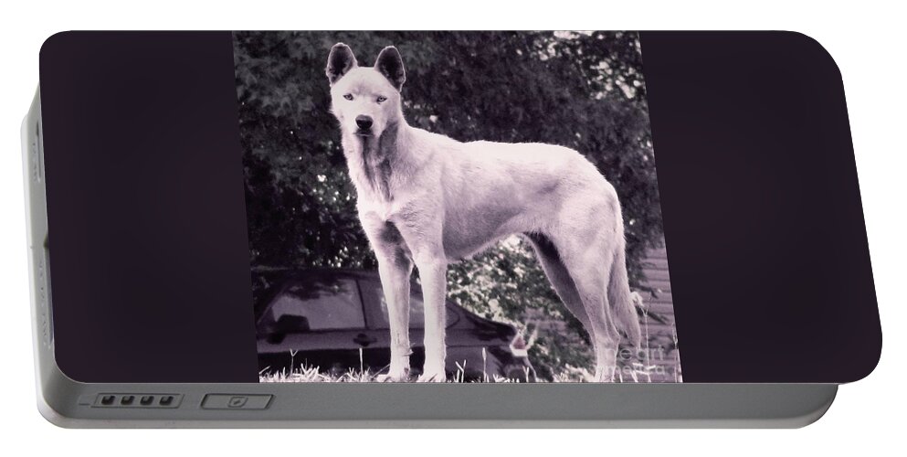 Wolf Portable Battery Charger featuring the photograph Ghost the Wolf by Maria Urso