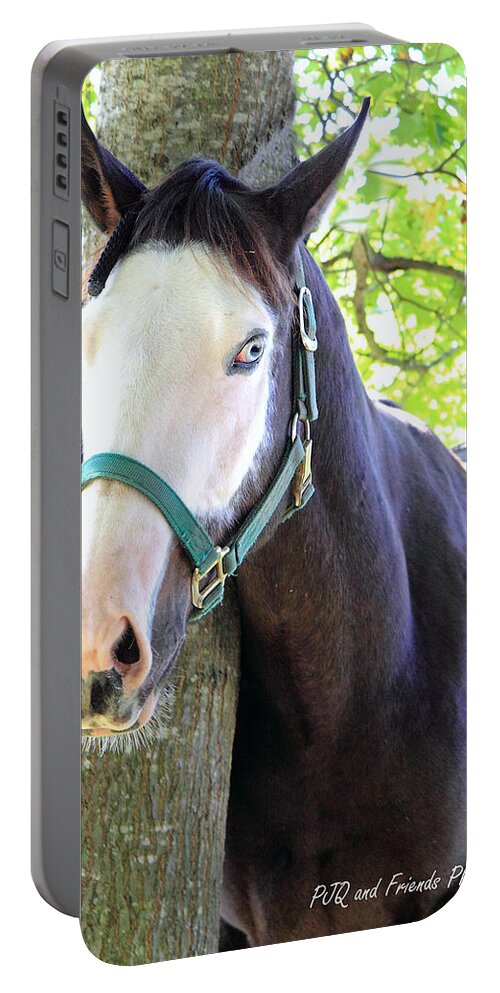  Portable Battery Charger featuring the photograph 'Ghostface' by PJQandFriends Photography