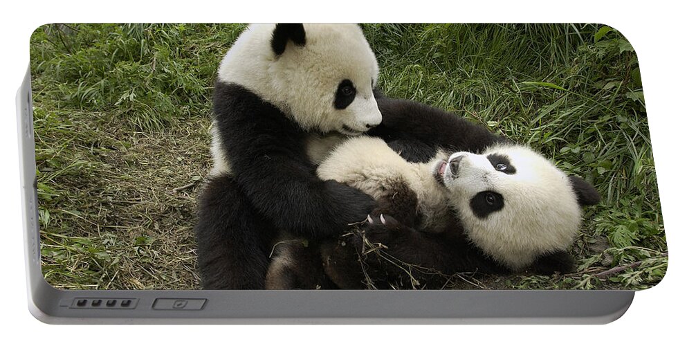 Mp Portable Battery Charger featuring the photograph Giant Panda Ailuropoda Melanoleuca Two by Katherine Feng