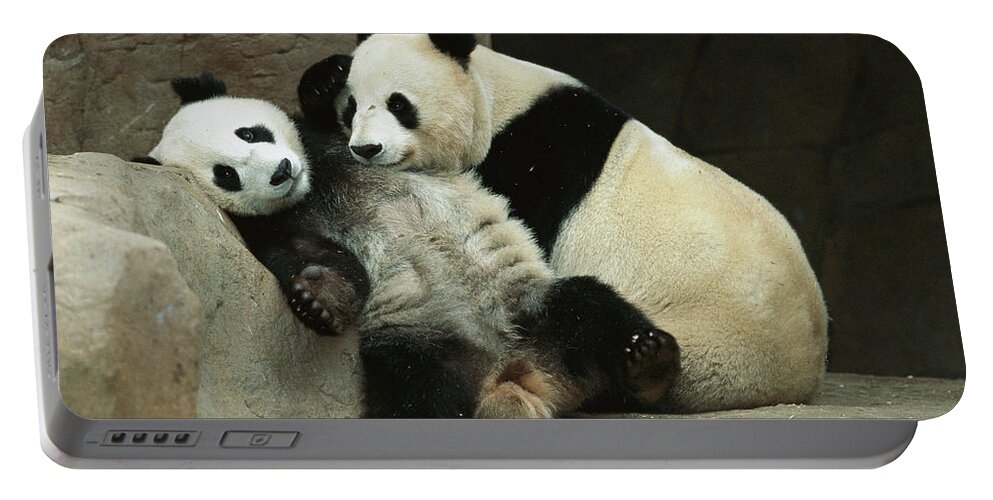 00117820 Portable Battery Charger featuring the photograph Giant Panda and Her Cub by Zssd