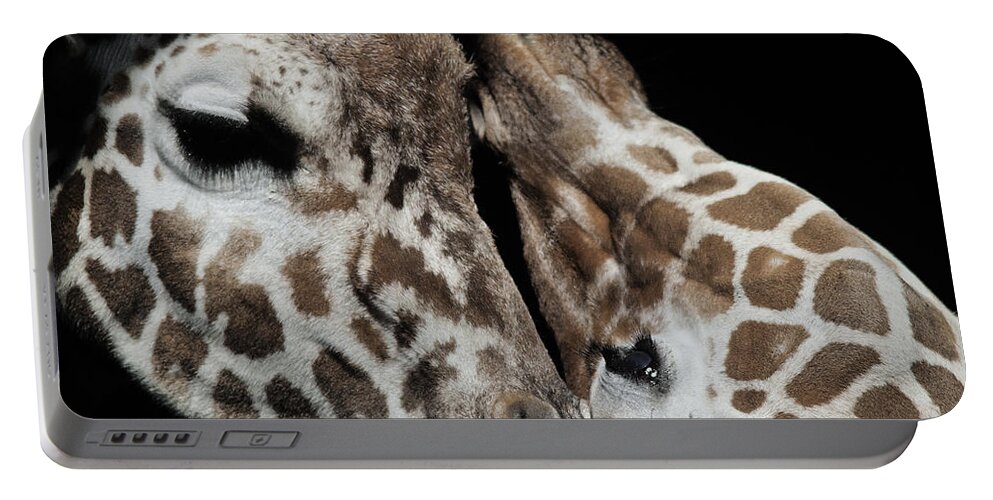 Animals Portable Battery Charger featuring the photograph Giraffe Snuggle by Pam Holdsworth