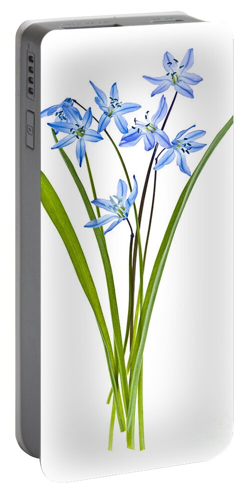 Flowers Portable Battery Charger featuring the photograph Blue spring flowers by Elena Elisseeva