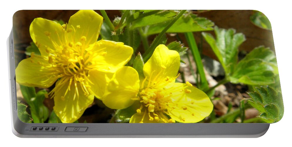 Flowers Portable Battery Charger featuring the photograph Glowing Buttercups by Kim Galluzzo