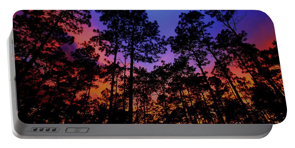 Glowing Forest Portable Battery Charger featuring the photograph Glowing Forest by Barbara Bowen