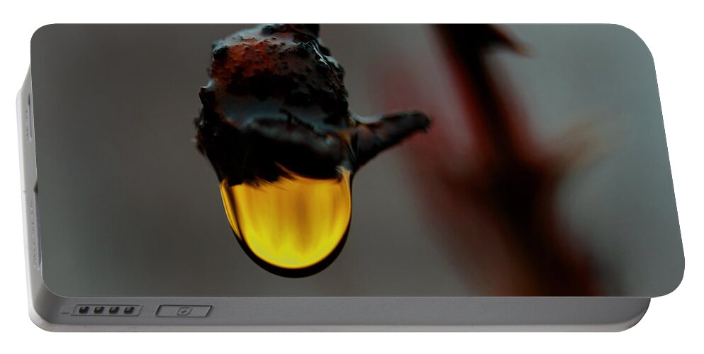 Rain Drop Portable Battery Charger featuring the photograph Golden Drop by Marie Jamieson