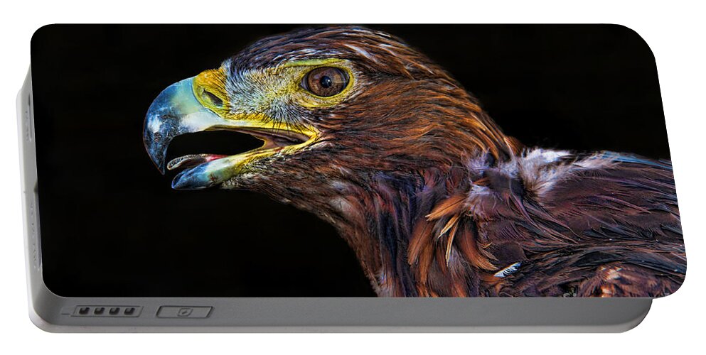 Golden Eagle Portable Battery Charger featuring the photograph Golden Eagle by Mariola Bitner
