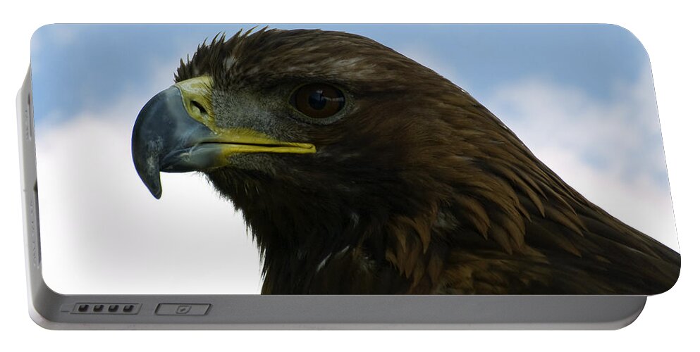 Golden Eagle Portable Battery Charger featuring the photograph Golden eagle by Steev Stamford