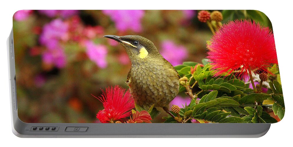 Graceful Honeyeater Portable Battery Charger featuring the photograph Graceful Honeyeater by Andrew McInnes