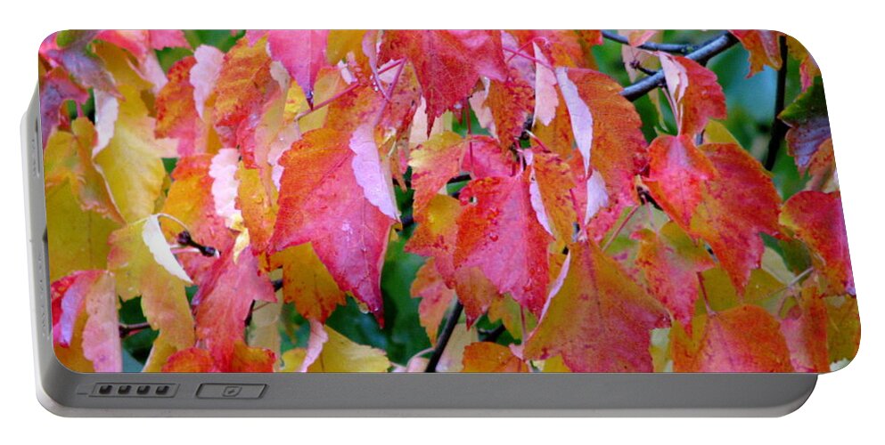 Leaves Portable Battery Charger featuring the photograph Gracefully Into Fall by Rory Siegel