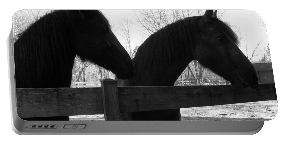 Friesians Portable Battery Charger featuring the photograph Gracie and Cora by Kim Galluzzo Wozniak