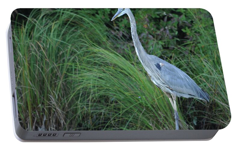 Bird Portable Battery Charger featuring the photograph Great Blue Heron by Ronald Grogan