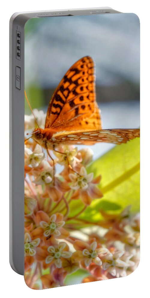  Portable Battery Charger featuring the photograph Great Spangled Fritillary Butterfly by Jenny Ellen Photography