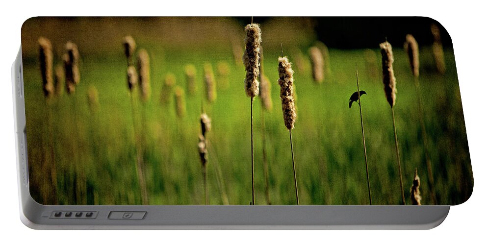 Rushes Portable Battery Charger featuring the photograph Green Grow The Rushes O by Chris Lord