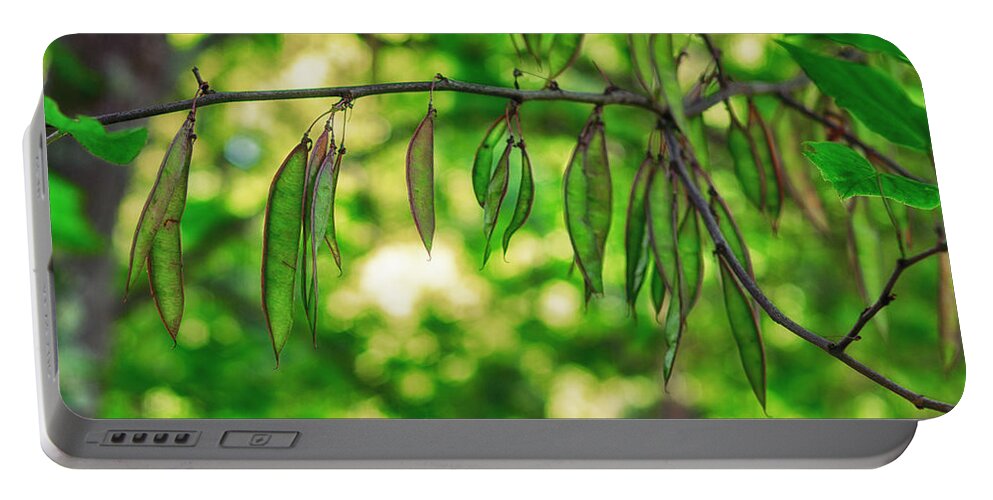 K-r Portable Battery Charger featuring the photograph Green Redbud Seed Pods by Lori Coleman