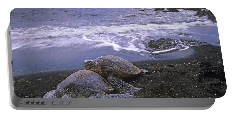 Mp Portable Battery Charger featuring the photograph Green Sea Turtle Chelonia Mydas Pair by Tim Fitzharris
