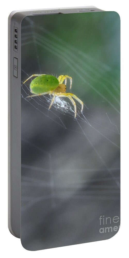 Yhun Suarez Portable Battery Charger featuring the photograph Green Spider 1.0 by Yhun Suarez