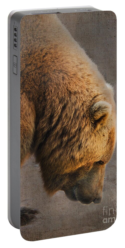 Bear Portable Battery Charger featuring the photograph Grizzly Hanging Head by Betty LaRue