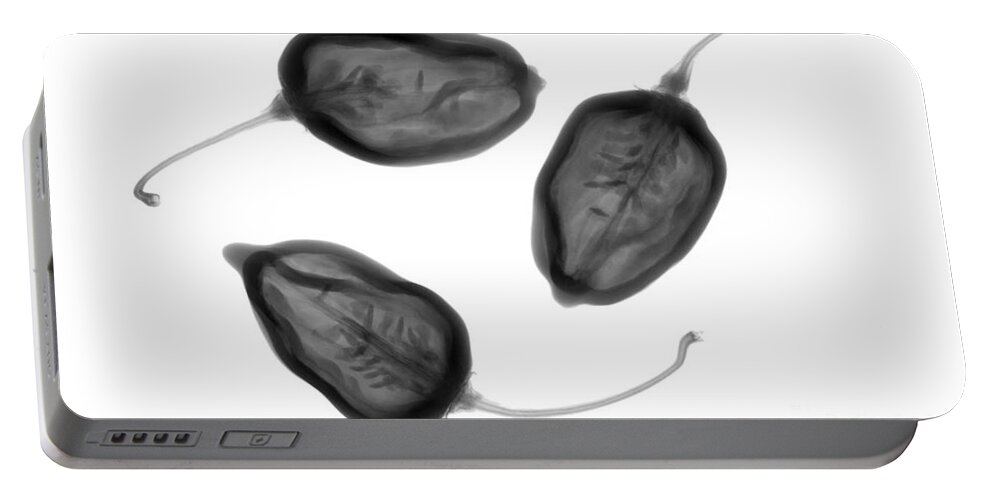 X-ray Portable Battery Charger featuring the photograph Habanero Peppers by Ted Kinsman