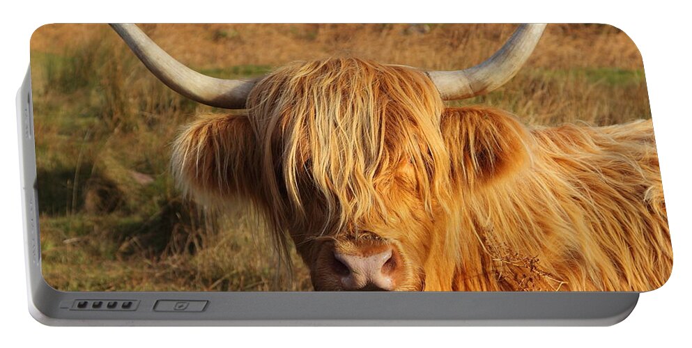 Cattle Portable Battery Charger featuring the photograph Hairy Cow by Bruce J Robinson