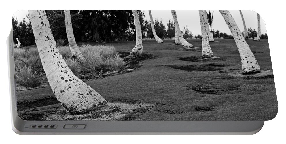 Mixed Media. Mixed Media Photography. Mixed Media Black And White Photography. Hawaii Black And White Photography. Palm Tree. Black And White Palm Tree. Hawaii Photography.hawaii Big Ialand Photography. Beach. Ocean. Hawaii Palm Trees. Surfing. Palm Tree Photography. Ocean Photography. Beach Photography. Palm Tree Greeting Cards. Surf Broad. Sea Shells. Sea Shell Photography. Landscape. Sea Gulls. Portable Battery Charger featuring the photograph Hawaii palms by James Steele