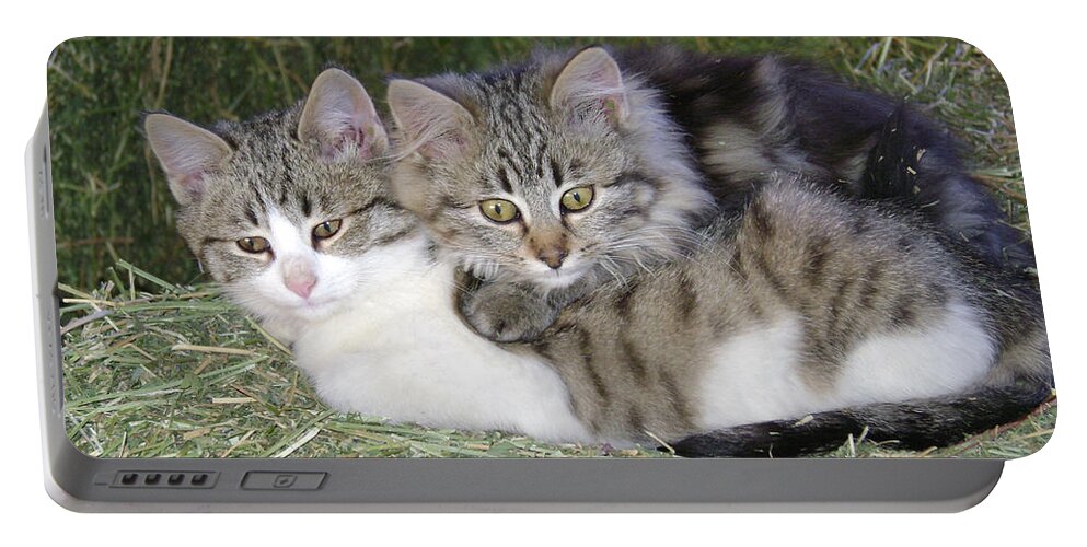 Cat Portable Battery Charger featuring the photograph Haystack Buddies by Charles and Melisa Morrison
