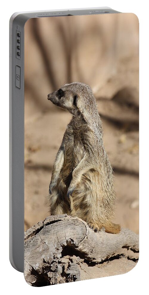 Meerkat Portable Battery Charger featuring the photograph He Went That Way by Kim Galluzzo Wozniak