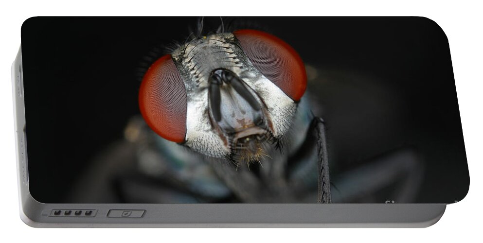 Blow Fly Portable Battery Charger featuring the photograph Head Of Green Blow Fly by Ted Kinsman