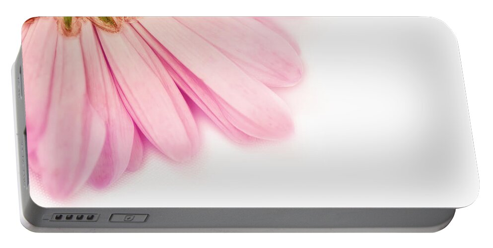Flower Portable Battery Charger featuring the photograph Heavenly Whisper by Evelina Kremsdorf