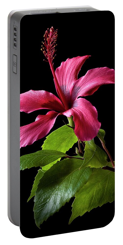 Flower Portable Battery Charger featuring the photograph Hibiscus by Endre Balogh
