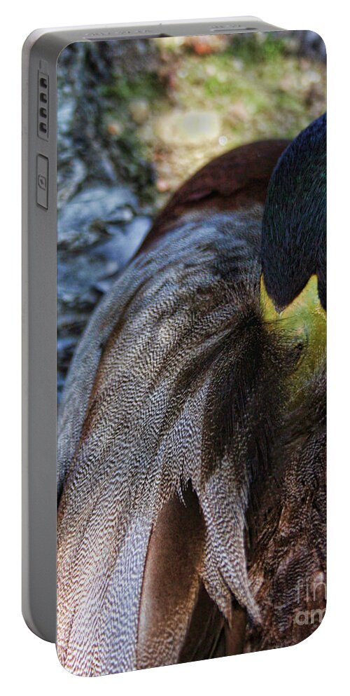 Duck Portable Battery Charger featuring the photograph Hiding by Heather Applegate