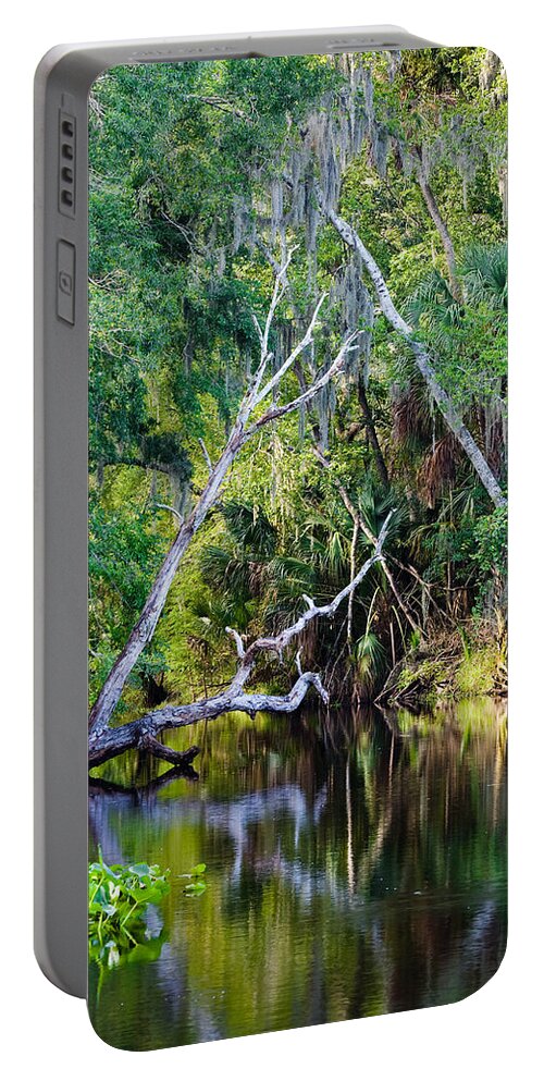 Florida Portable Battery Charger featuring the photograph Hillsborough River at Morris Bridge Wilderness Park by Ed Gleichman