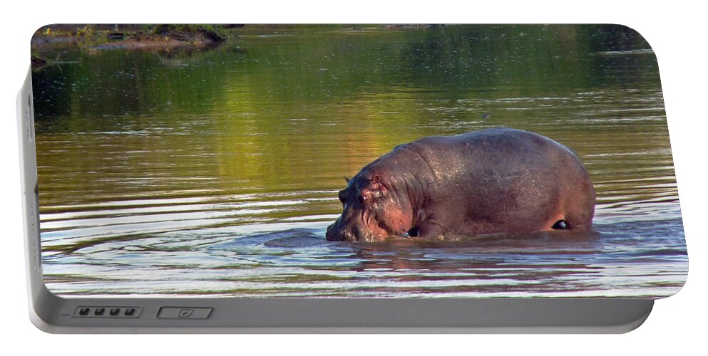 Kenya Portable Battery Charger featuring the photograph Hippopotamus in Mara River by Tony Murtagh