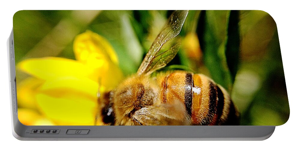 Honey Bee Portable Battery Charger featuring the photograph Honey Bee by Chriss Pagani