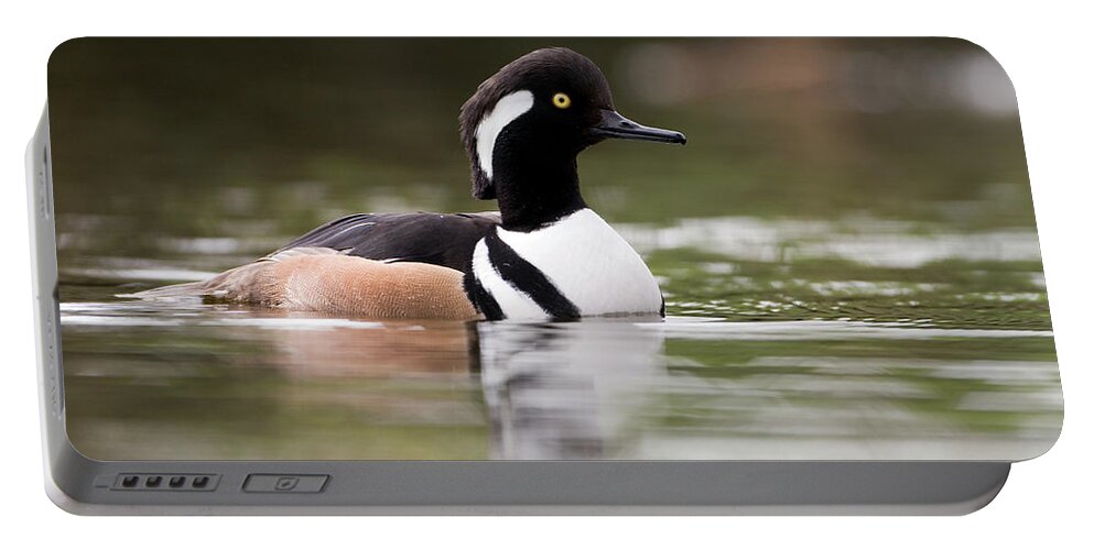 Fn Portable Battery Charger featuring the photograph Hooded Merganser Lophodytes Cucullatus by Marcel van Kammen