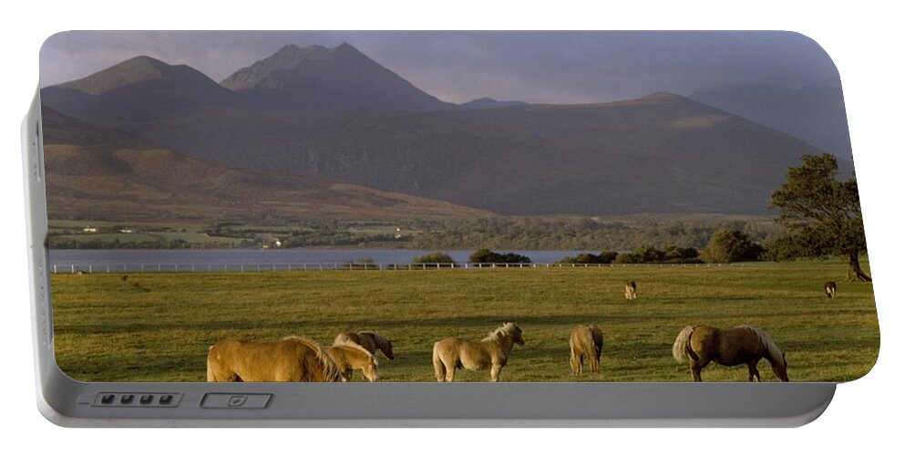 Ireland Portable Battery Charger featuring the photograph Horses Grazing, Macgillycuddys Reeks by The Irish Image Collection 