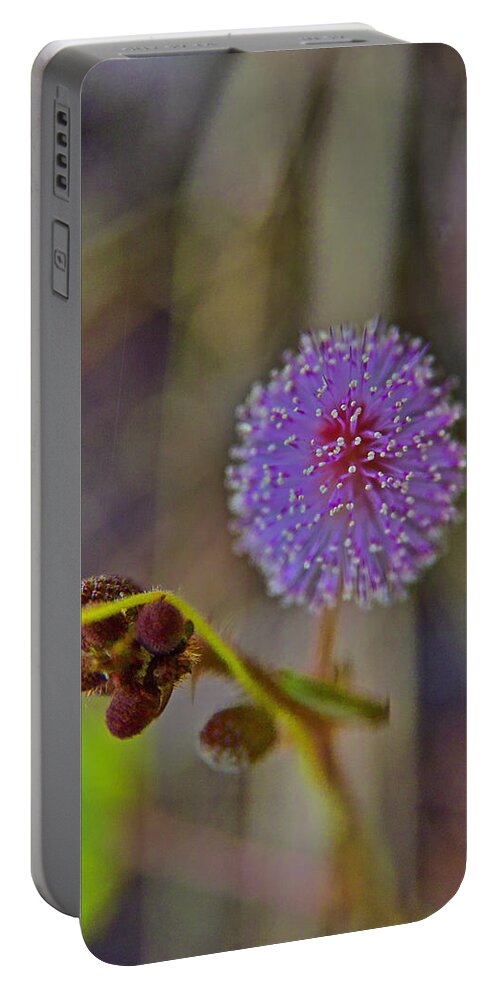 Plant Portable Battery Charger featuring the photograph Humble weed 1 by Jocelyn Kahawai