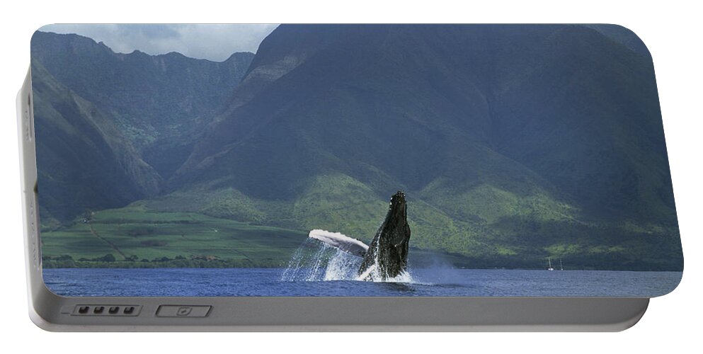 00128640 Portable Battery Charger featuring the photograph Humpback Whale Breaching Maui by Flip Nicklin