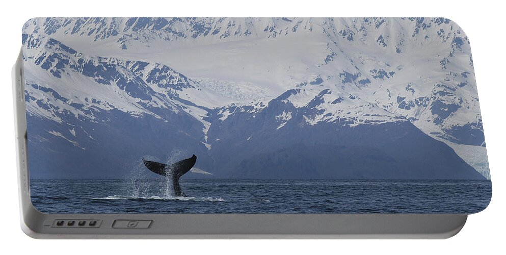 00999052 Portable Battery Charger featuring the photograph Humpback Whale Tail Alaska by Flip Nicklin