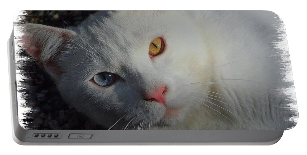 Cat Portable Battery Charger featuring the photograph I called him Bleau by Kim Galluzzo Wozniak