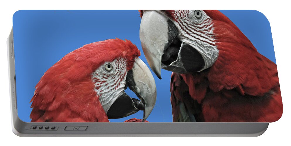 Parrot Portable Battery Charger featuring the photograph I Told You So by Rodney Campbell